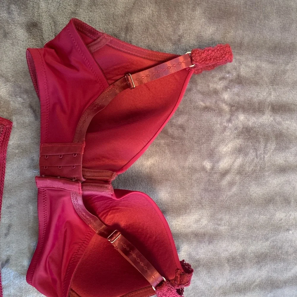 Pure Beauty by Rene Rofe.  Chic Red Lace Bra and Panty Set